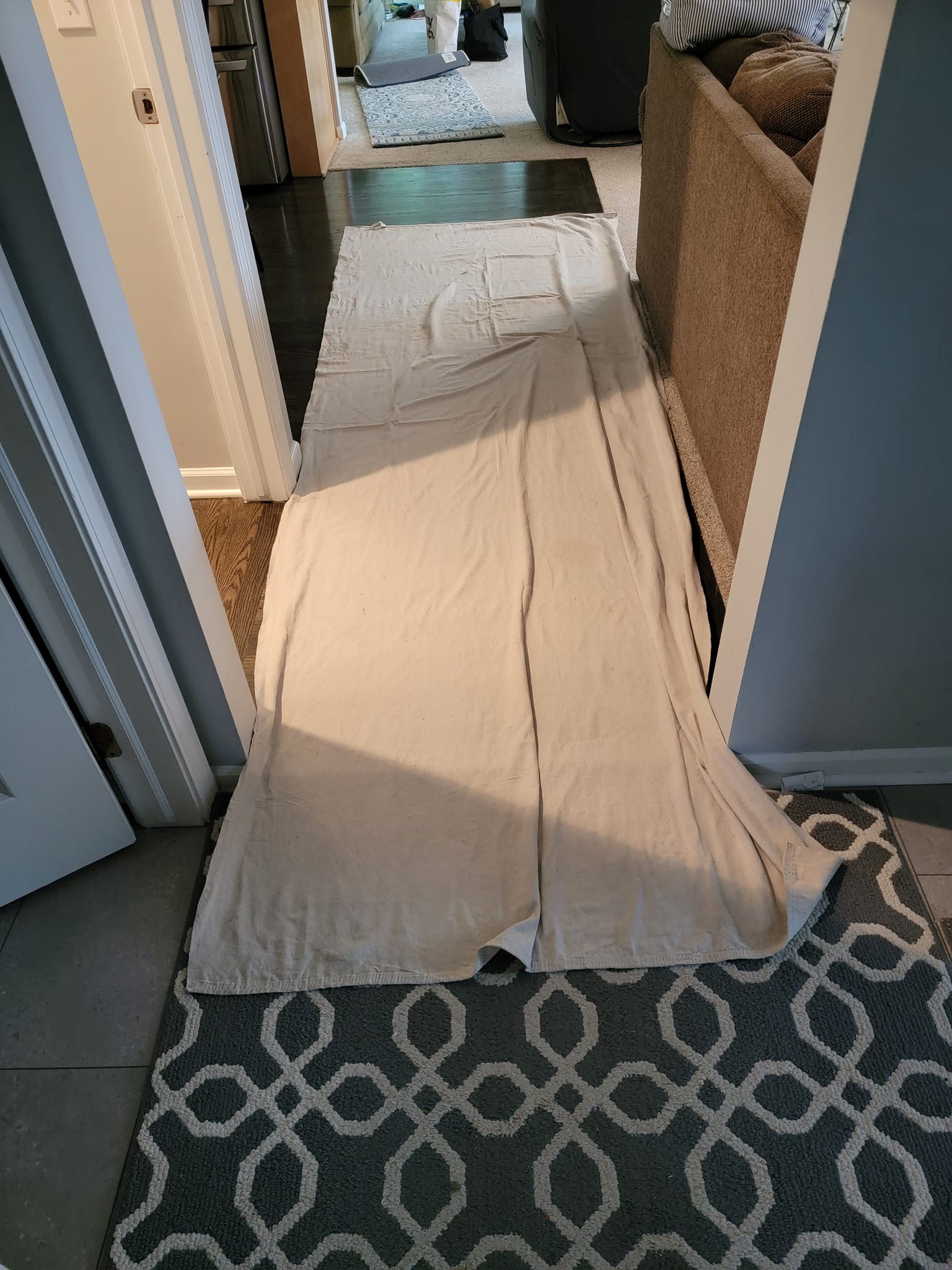 Old Gas Logs to New Gas Insert Home Protection